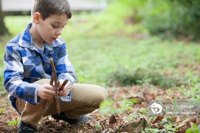 young boy collecting kindling