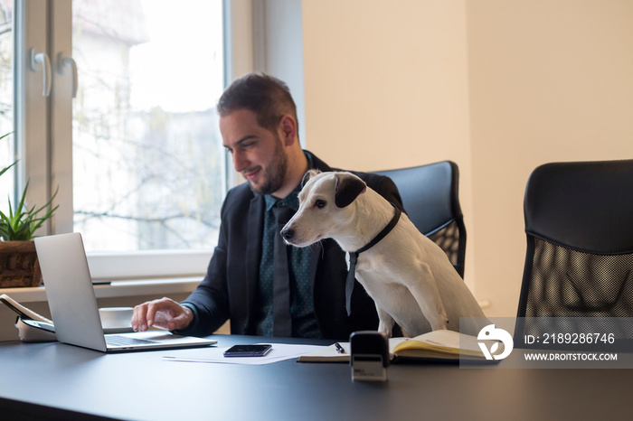 快乐的商人在办公室用笔记本电脑工作，打着领带坐在狗旁边