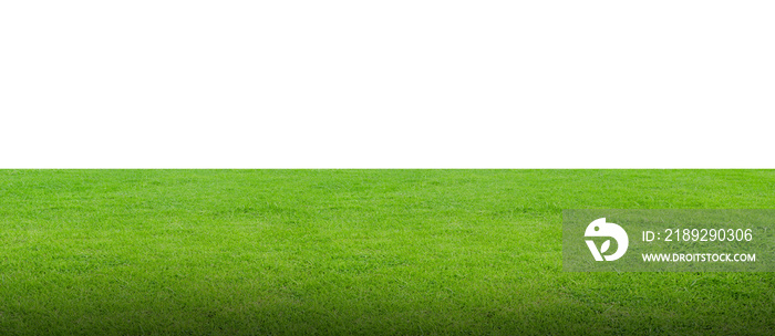 Green grass field isolated on white background with clipping path.