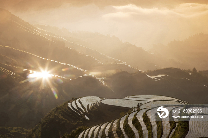 China, Guangxi Province, Guilin, Longsheng terraced ricefields