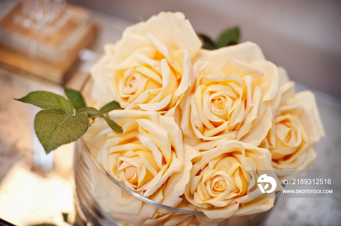 Close-up of roses against wall; Rancho Sante Fe; USA