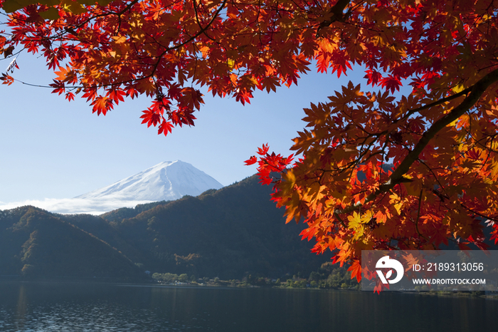 Mt. Fuji and Lake Saiko in autumn, Yamanashi, Japan