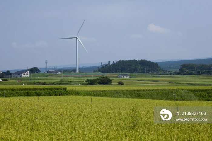 Windmill in rice field, Akita, Japan