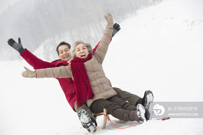 快乐的老年夫妻乘雪橇滑雪