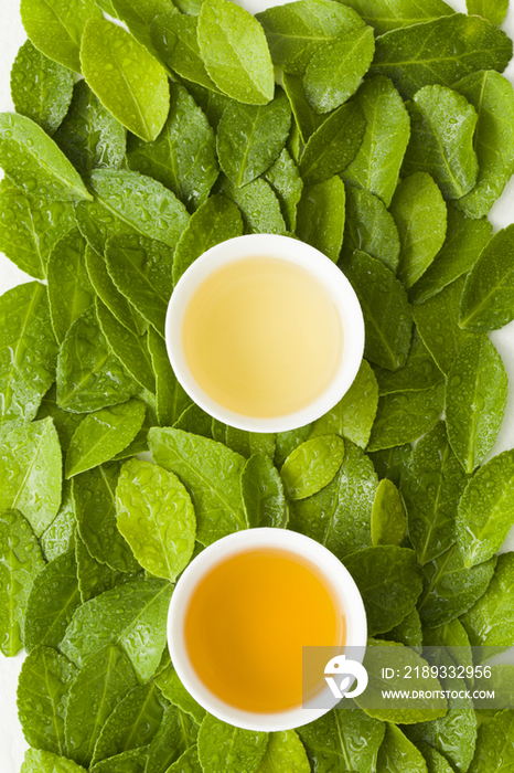 茶和绿叶