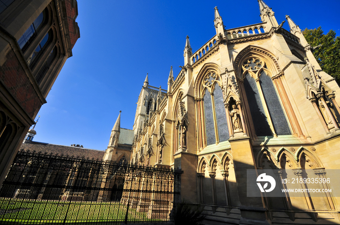 Cambridge university