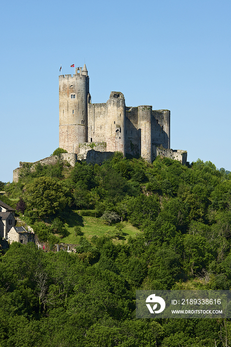 Chateau de Najac,France