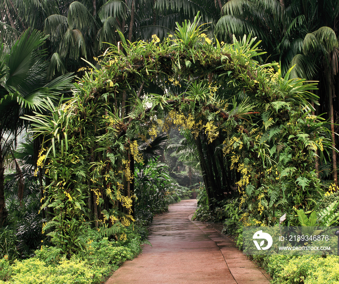 Botanical Garden in Singapore