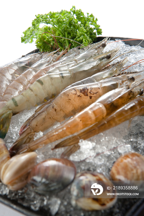 Clams and Fresh Shrimps on Ice