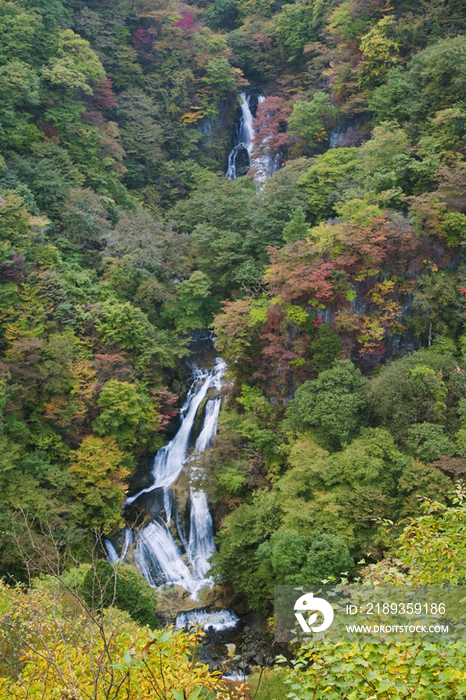 Nikko in autumn, Tochigi, Japan