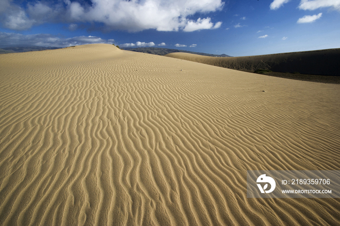 Spain - Canary Islands, Gran Canaria, Maspalomas dunes 