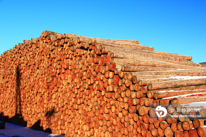 大兴安岭林场上堆积的木材