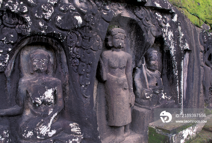 Indonesia, Bali, Yeh Pulu, Rock Relief