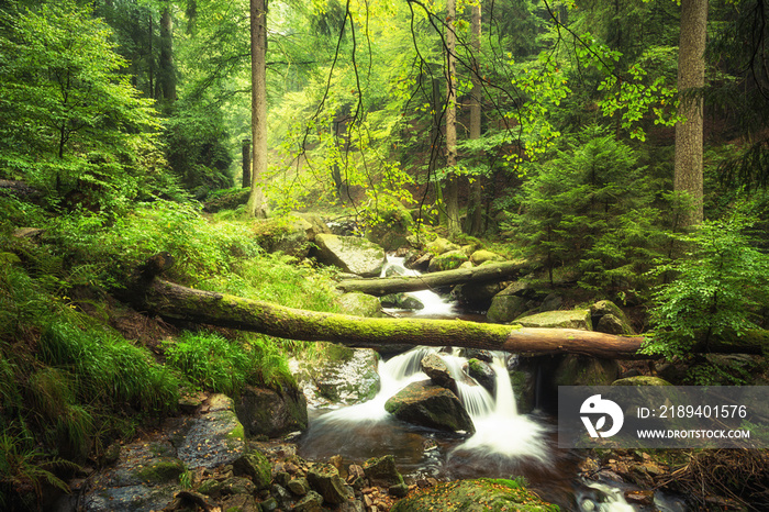 Bachlauf im Wald - Ilsetal - Harz