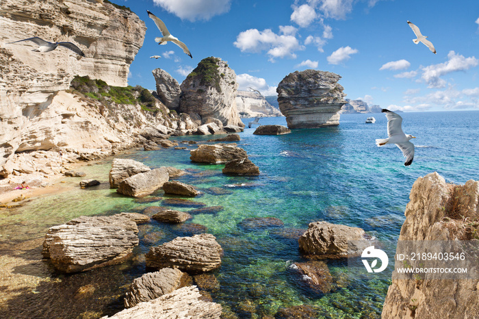 falaises de Bonifacio, Corse