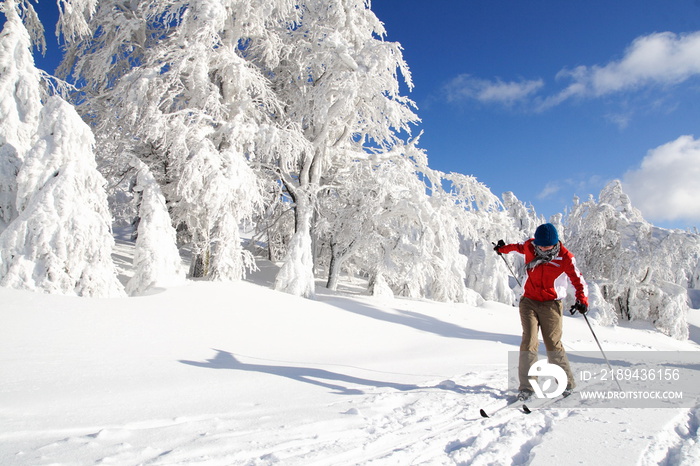 越野滑雪