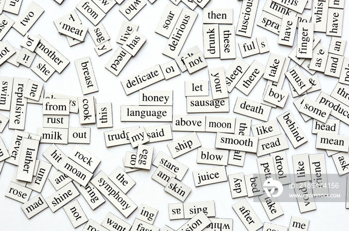 Assorted Magnetic Words