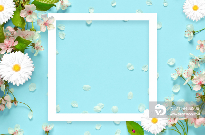 Beautiful spring nature background with lovely blossom, petal a on turquoise blue background , top v