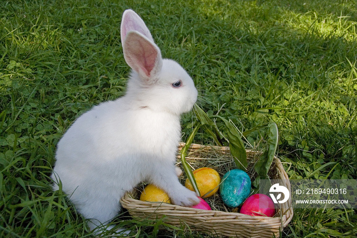 啊，das ist Osterhasenschwestarbeit