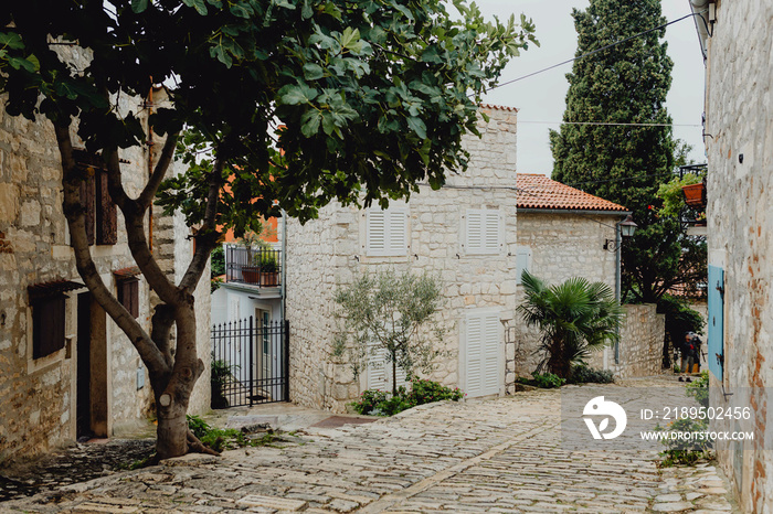 Old town buildings in Croatia