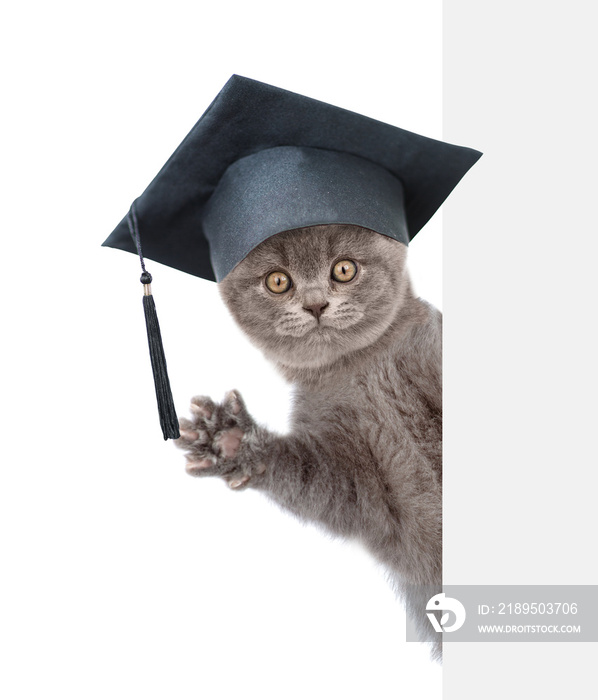 Cat with black graduation cap peeking from behind empty board. isolated on white background