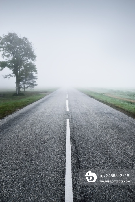 An empty highway (asphalt road) through the fields and forest in a thick fog at sunrise. Atmospheric