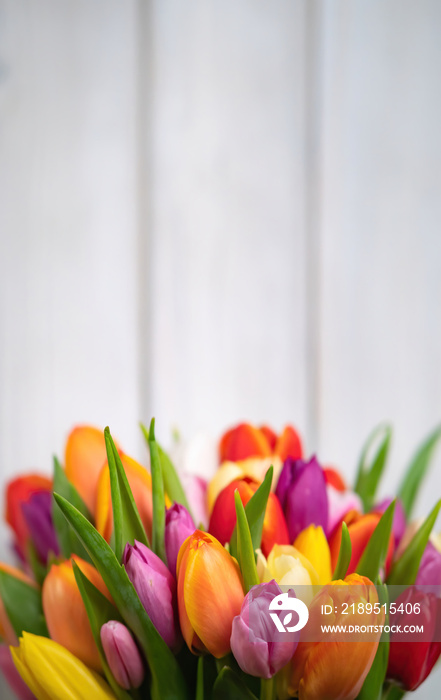 Colorful bouquet of tulips on white wooden background. Spring flowers. Greeting card with copy space