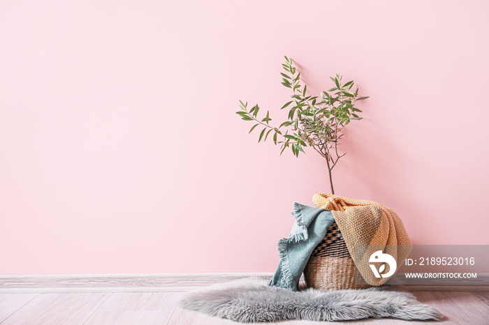 Basket with plaids and plant near color wall