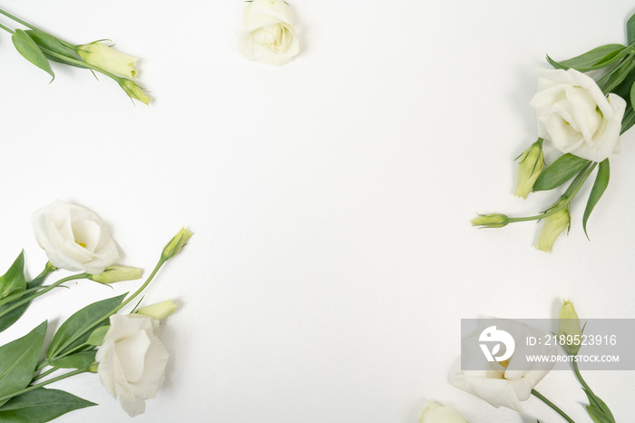 White flower flat lay background