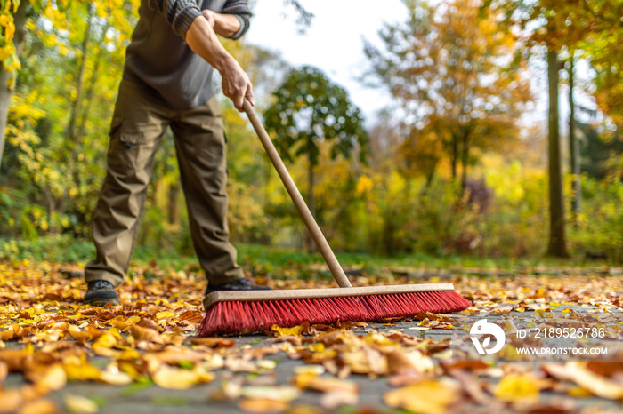 Mit großem Besen Blätter im Herbst zusammen fegen