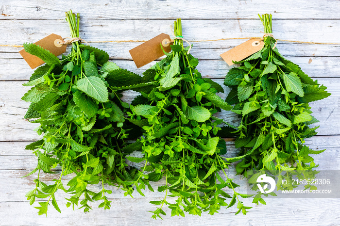 Fresh  melissa herbs prepared for drying.