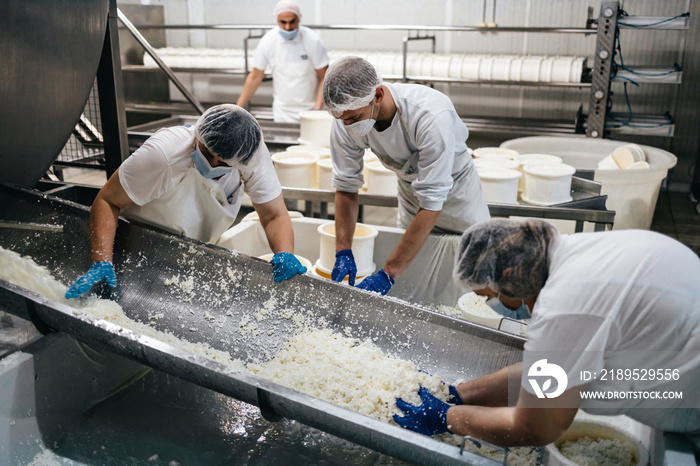 奶酪和乳制品生产厂的体力劳动者。传统的欧洲手工健康食品
