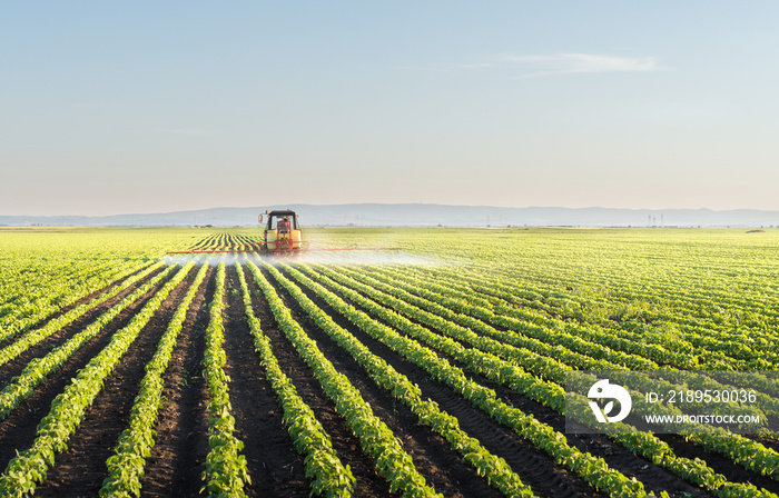 Tractor spraying soybean