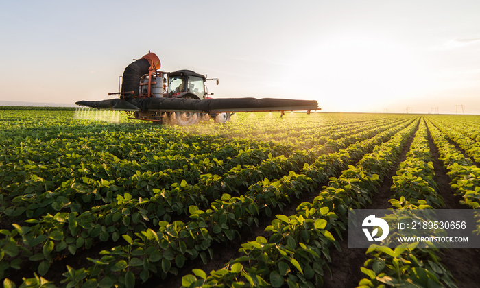 Tractor spraying pesticides at  soy bean field