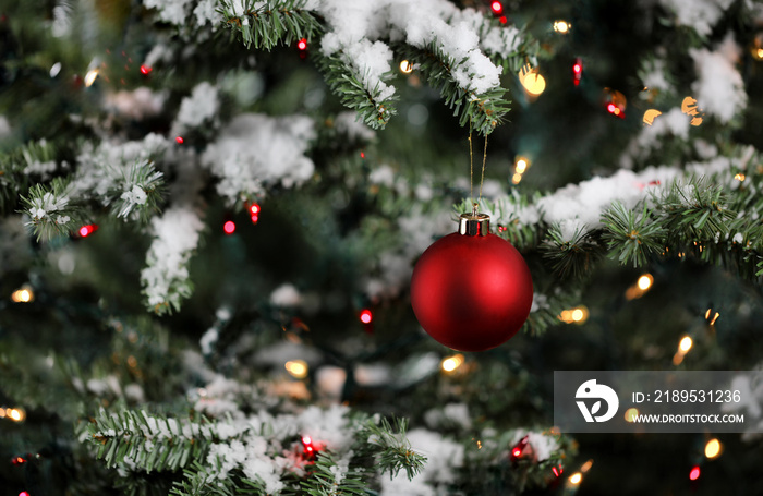 圣诞装饰品，有雪冷杉树枝和灯光。冬季装饰背景。