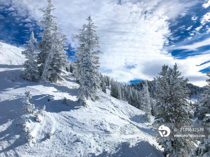 犹他州阿尔塔滑雪场的斜坡景观。