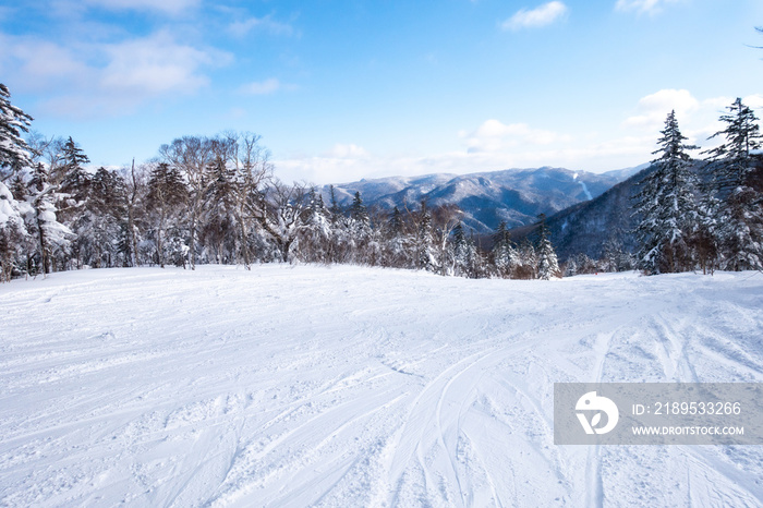 晴れた日のゲレンデ 北海道札幌市