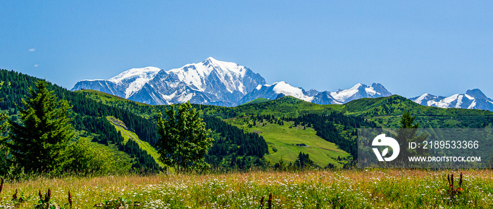 Vue sur le Mont-blanc en arrière plan avec vue sur champ de sezenale