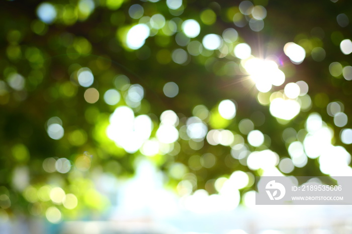 sun light through green tree in summer morning, image blur background