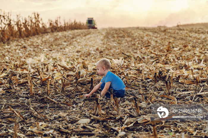 Side view of cute little farmer boy crouching on corn field and playing. In background is harvester 