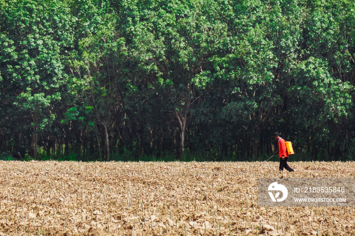 Farmer Tapioca is spraying herbicides without any protective clothing. This is very dangerous. It is