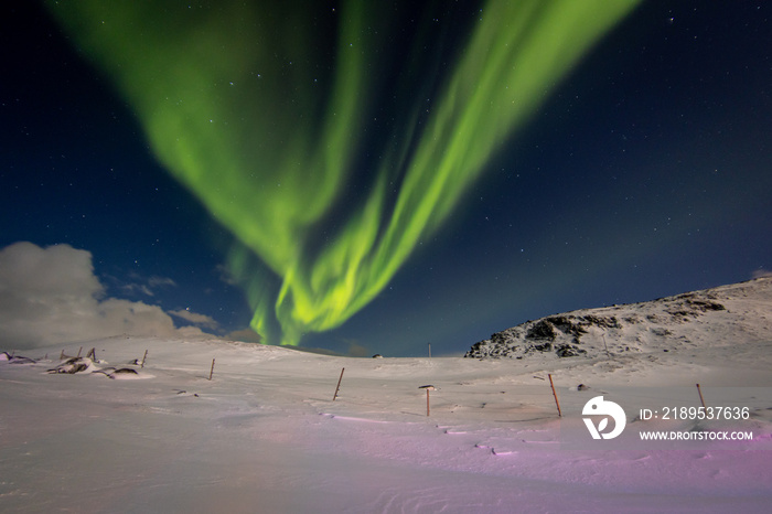 Northern Lights covering the sky by the road near Tromso