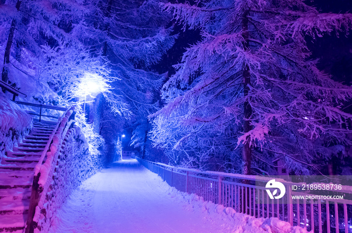 阿尔卑斯山村的雪地街道