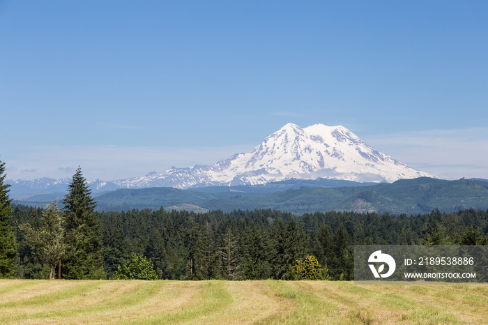 Stunning distrant view of the Mt Rainier volcano in Washington, in Northwest USA