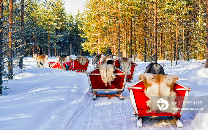芬兰拉普兰农场罗瓦涅米的驯鹿雪橇上的人们。圣诞节雪橇上的家人获胜