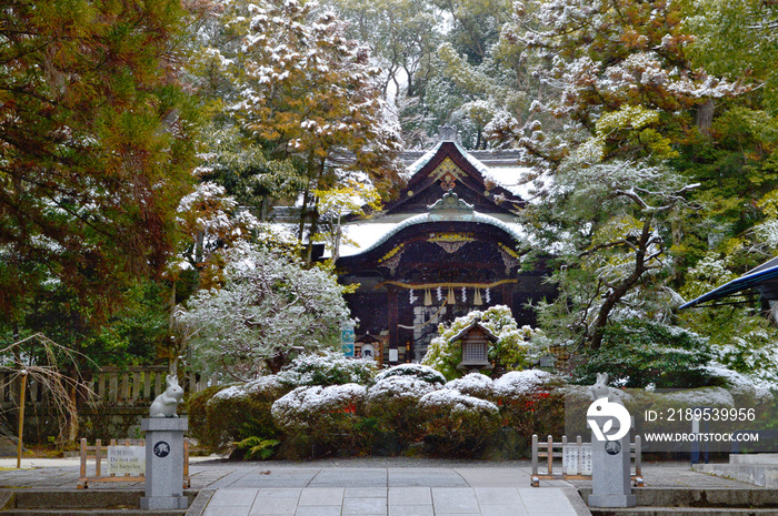 兎で有名な冬の京都市岡崎神社01