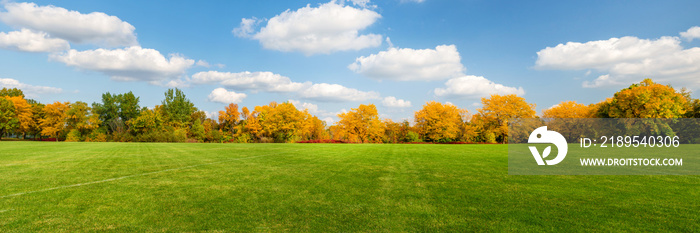 Autumn scenes under sunny day