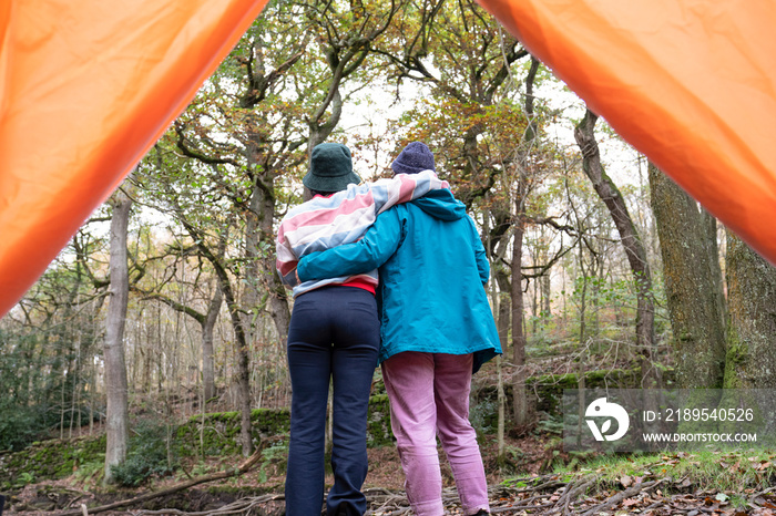 Female friends camping in forest