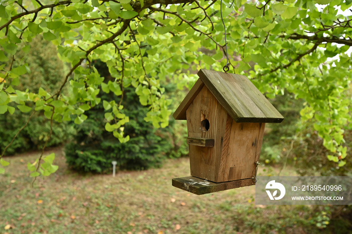 Bird house on tree with beautiful forest view