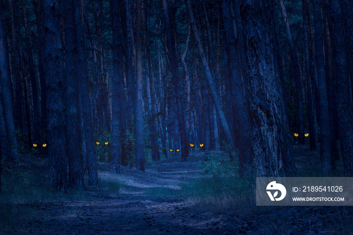 dark and scary night forest with tall pines and wild animals with bright orange eyes